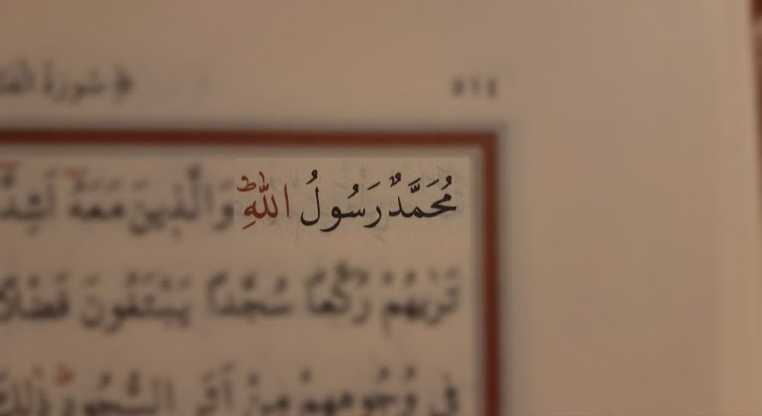 "Biliniz ki sonunuz alevli bir ah'tır.
İntikam alanların en hayırlısı Allah'tır."

#karikatür
#lemandergisikapatılsın