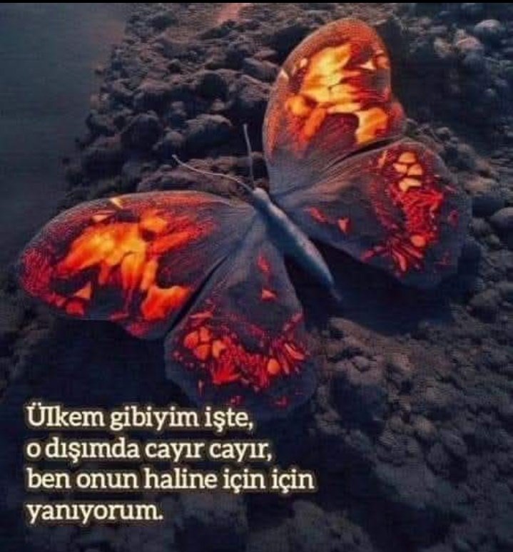 Diyelim ki, 
Biz öldük, siz kaldınız.
Diyelim ki,
Kurudu ormanlar, nehirler,  yuvalarında kuşlar.
Diyelim ki,
Ateş olup küller üfürdünüz memlekete.
Baktınız,
Kalmamış yakacak tek bir ağaç,
Sönmeyen ocak, 
Akacak tek damla gözyaşı.
Sonra..?
~Nazım Hikmet ~