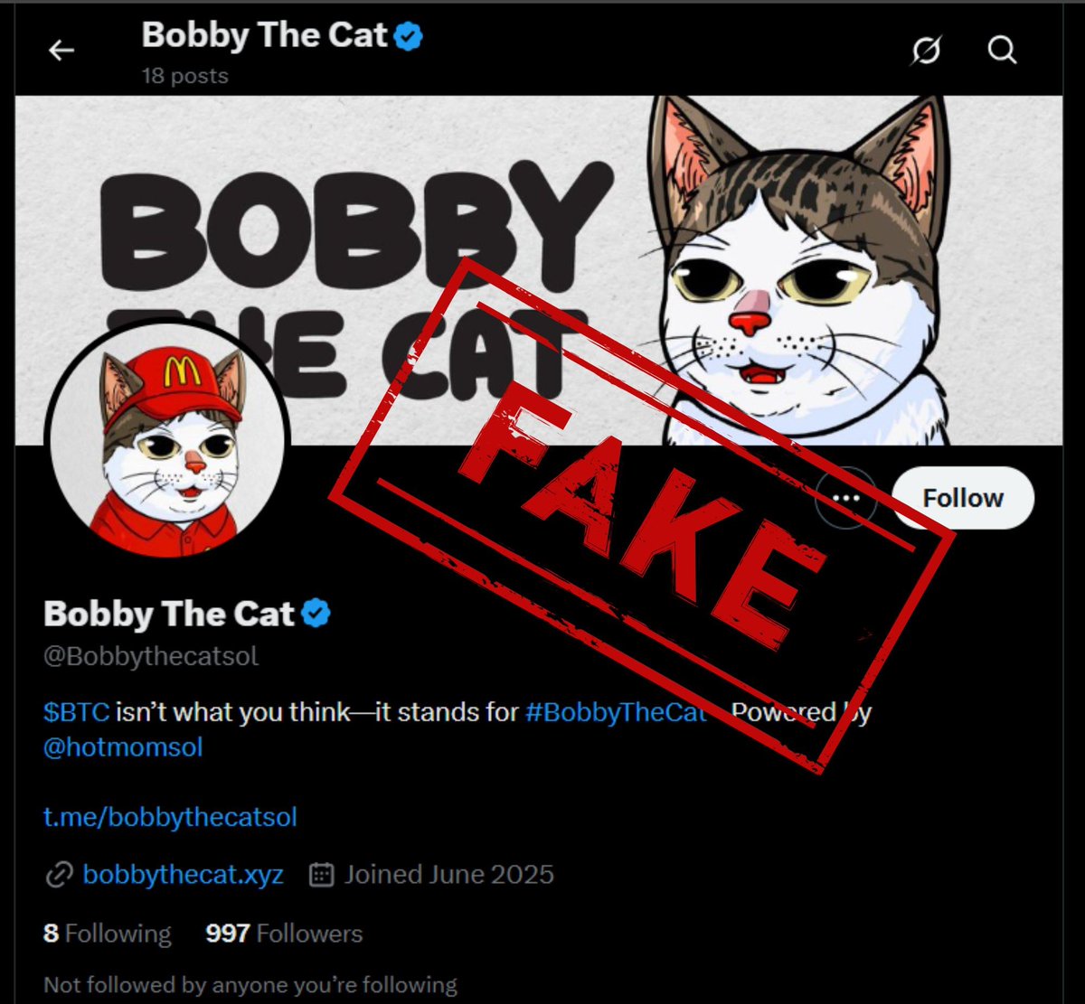 🚨 SCAM ALERT! 🚨