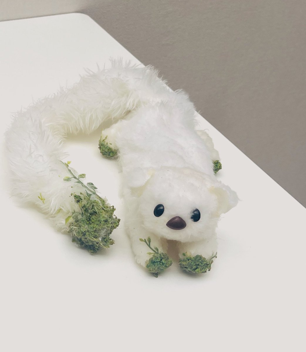 am__ka__'s tweet photo. 学会があったので2年前の仮想生物を色々いじって生き返らせたぞ〜
とてもいい経験になった😌 https://t.co/Xei3DdPtjK
