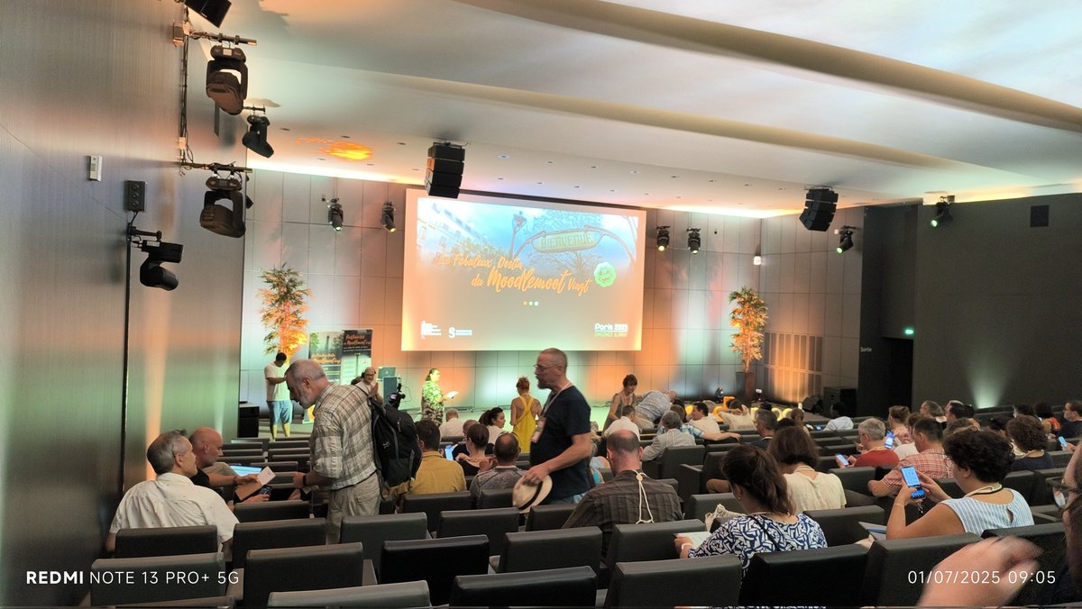 Luiggi Sansonetti tweet media