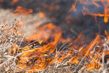 Setting fire to grass or rubbish can take firefighters away from other incidents. What if someone you knew was trapped in a house fire?
Deliberate fire information: rb.gy/w0bdln
Firesetting by a child or young person: rb.gy/lwjmgh