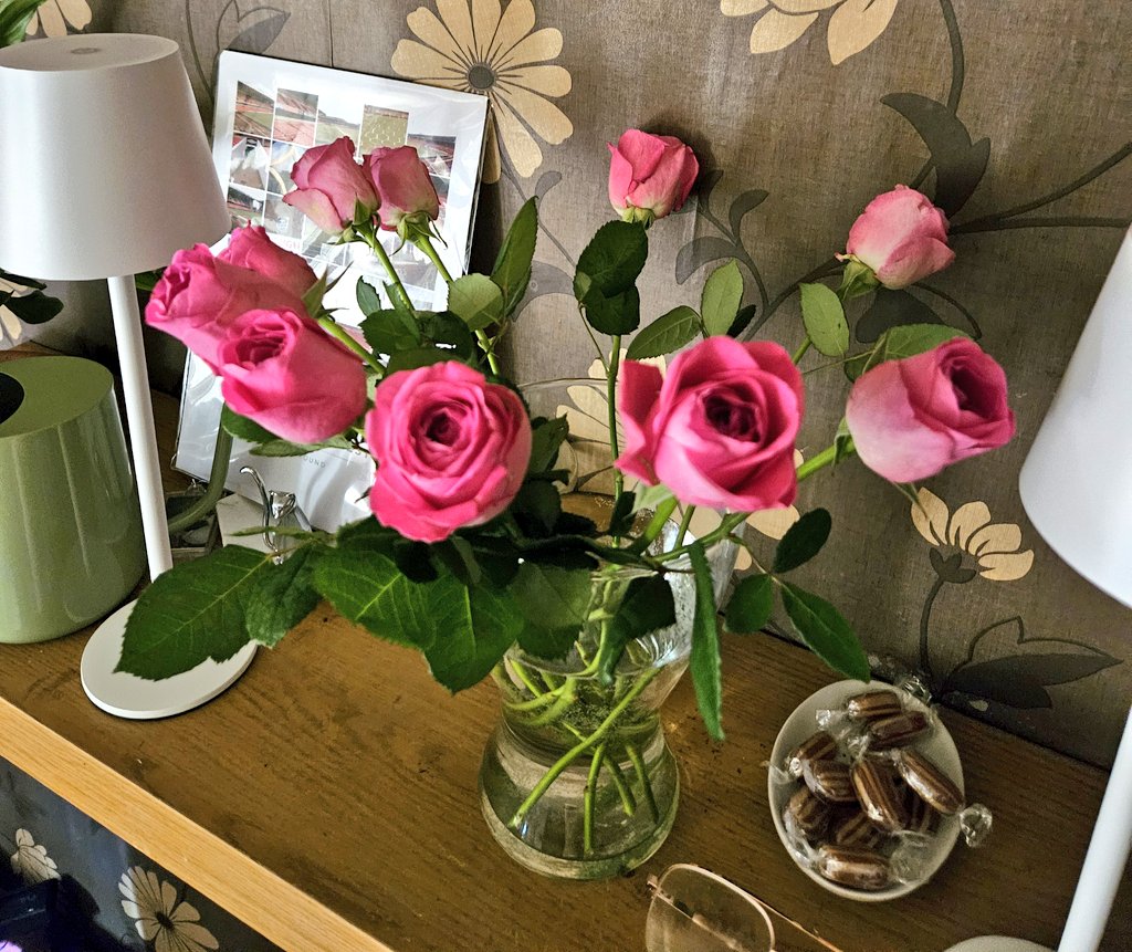 gemilouisexo's tweet photo. I am one month sober today. I celebrated by buying myself some pretty flowers 💐 #onemonthsober #sobriety #soberjourney https://t.co/F3R5pflnqa
