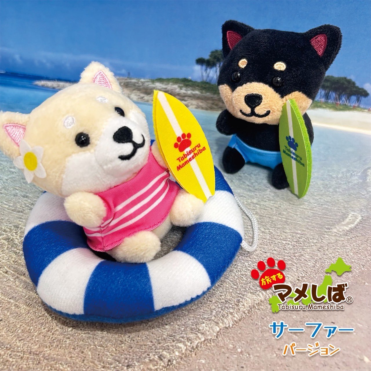 とらまめ^_^ 柴んちゅ🐕 on X: 