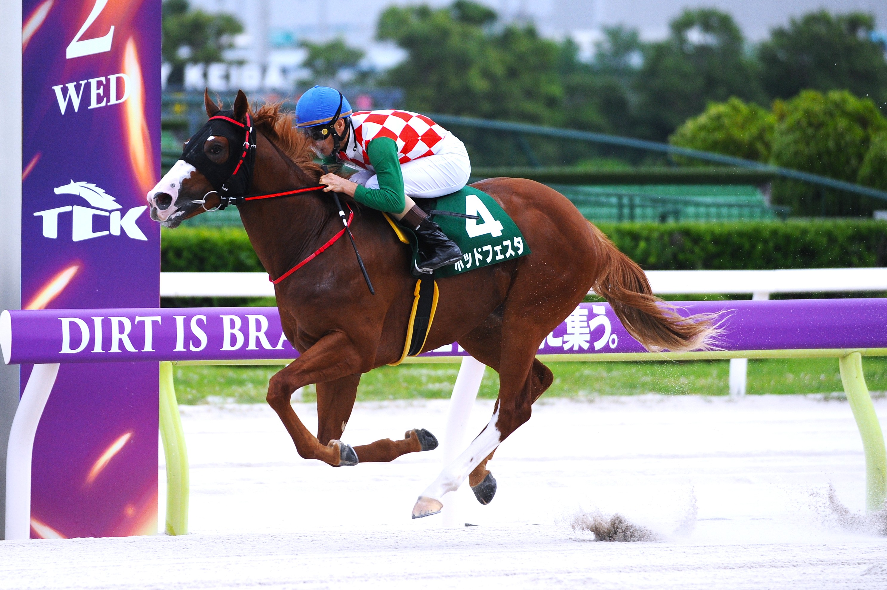 東京シティ競馬 (TCK) on X: 