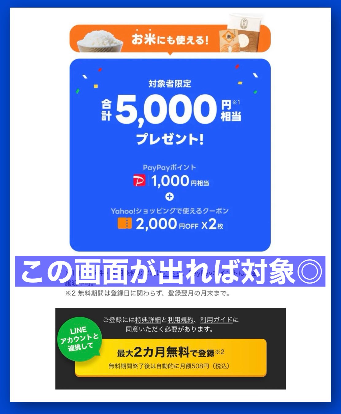 みゅう様　ご確認用　おまとめ 8月更新】 旧裏(初期ポケカ)の高額買取表・一覧｜PRICE BASE