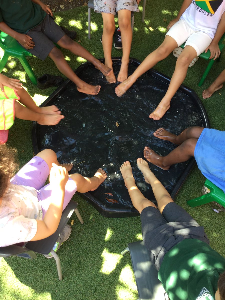 Albion Primary School tweet media