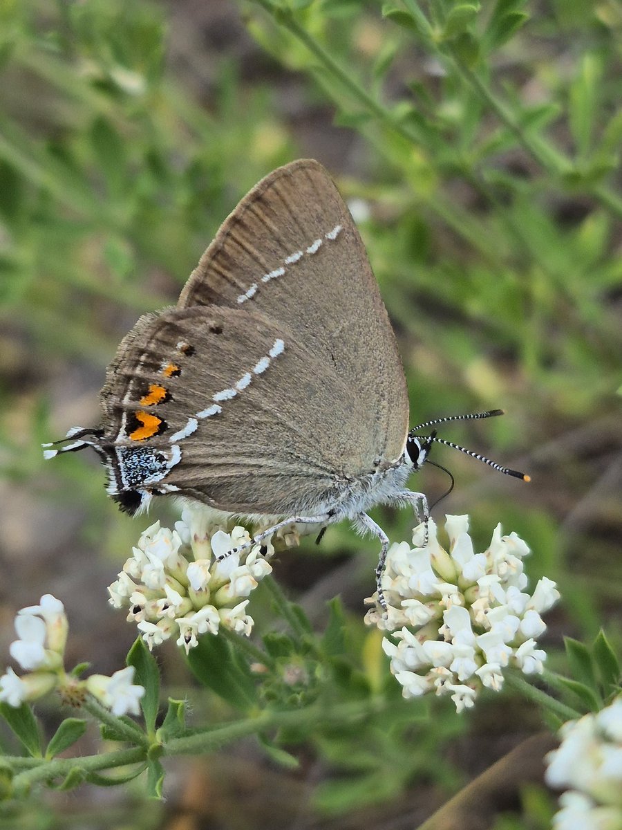 Paul Selby tweet media