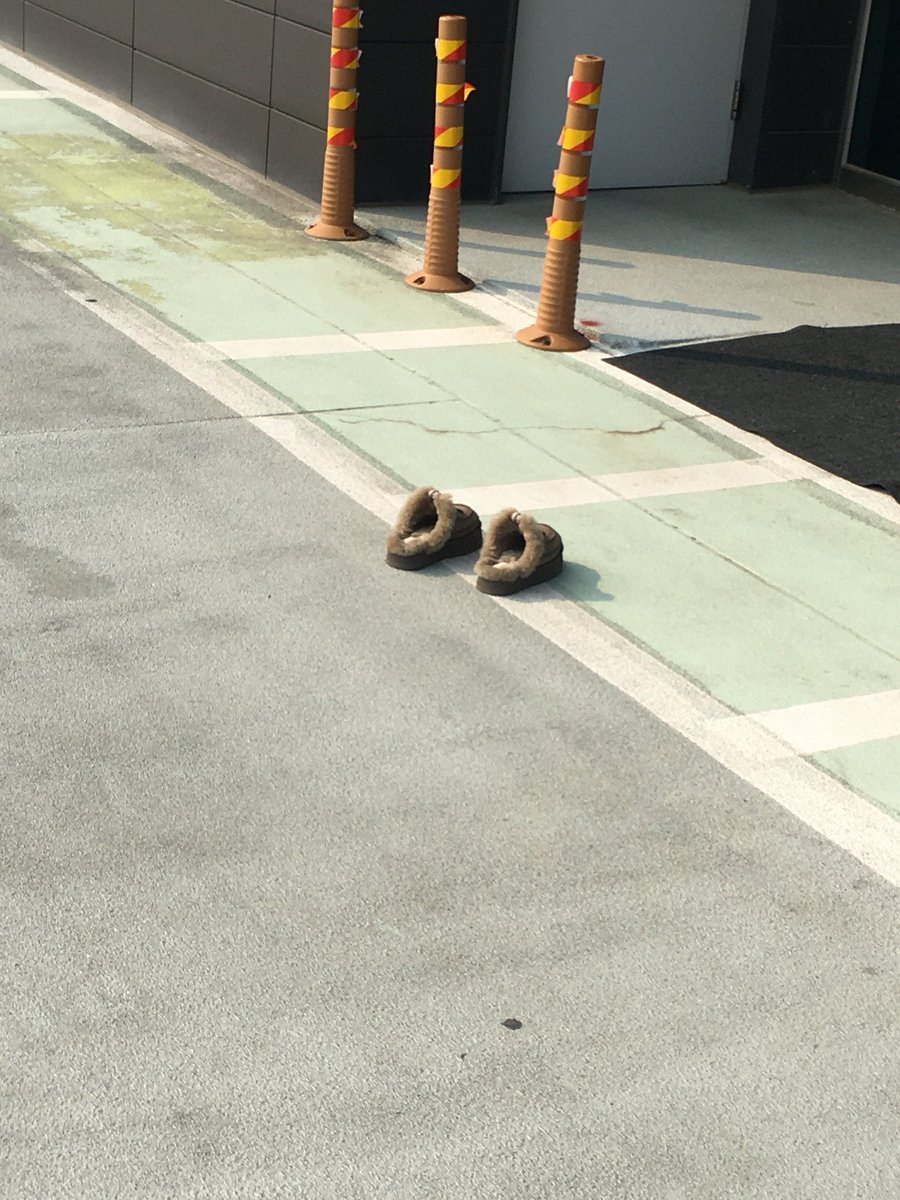 syqbbl's tweet photo. [250701] 🐶🫧 https://t.co/A1mkcaYciK