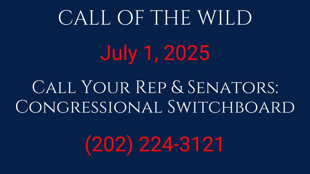 July 1, 2025 is #callofthewild: a massive nationwide day of action to save America's #wildhorses &amp; #burros. Join us in calling our Rep &amp; Senators to say the FY2026 Appropriations Bill MUST include a ban against the slaughter and killing of wild horses &amp;  burros. Tell them: (1/6)