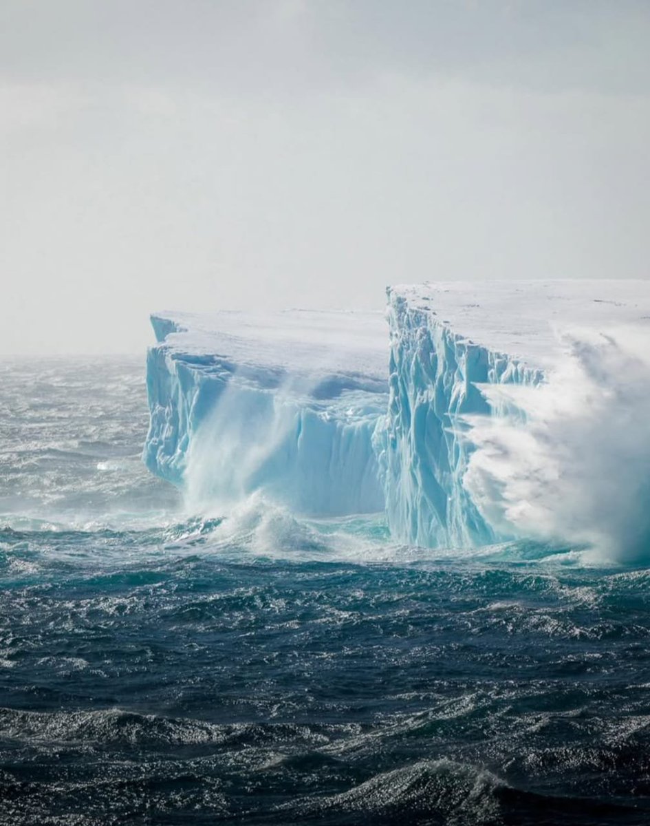 Where the ocean meets ice and the world feels untouched ❄️🌊
Nature’s raw power and beauty on full display in Antarctica.

📍 Location: Antarctica
📸 Credit: <a href="/alex_stead/">Alex Stead</a>

#Antarctica #PolarWonders #Iceberg #FrozenFrontier #NaturePower #OceanVibes #WildernessCulture