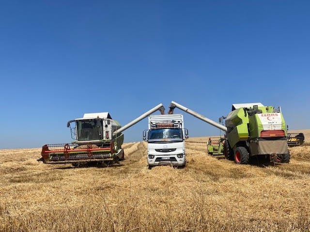 Karacabey Tarım İşletmesinde hububat hasadı devam ediyor. 🌾🚜
İşletmede, Flamura ve Pehlivan buğday ile Kahraman yulaf çeşitlerinin toplam 21 bin 400 dekar alanda hasadı yapılacak. 
Geçtiğimiz hafta başlayan hasat çalışmalarının yaklaşık 20 gün sürmesi öngörülüyor. 

📍Bursa