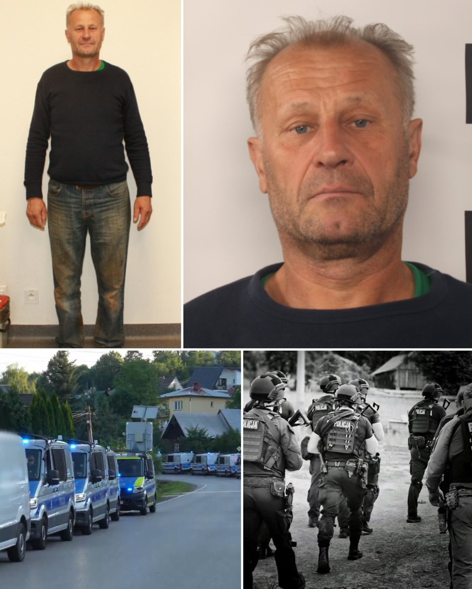 🌐 ᴛʜᴇᴘᴏʟᴀɴᴅɴᴇᴡs 🌐 tweet media