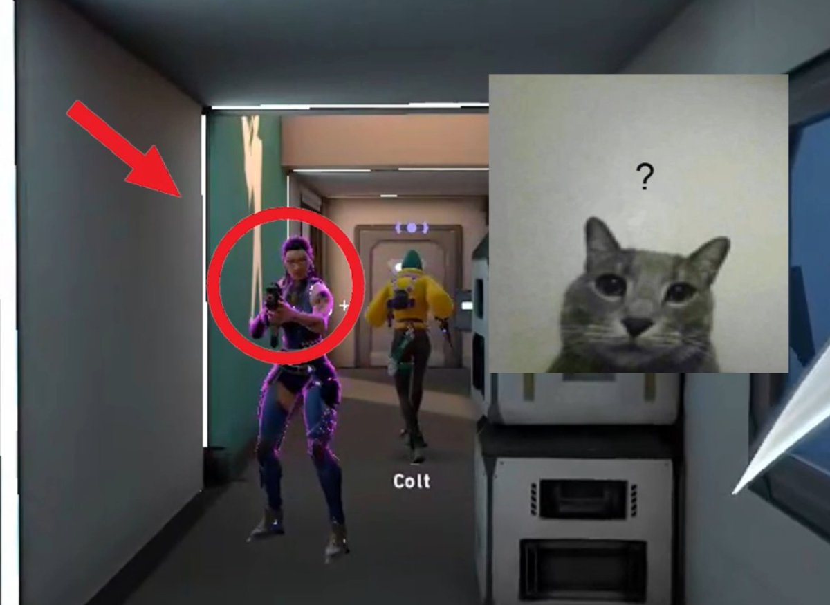 Colt (@colttgg) on Twitter photo 