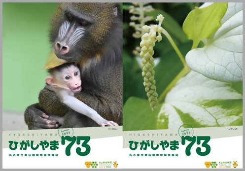 新着のお知らせ】東山動植物園情報誌「ひがしやま73号」を発行しました