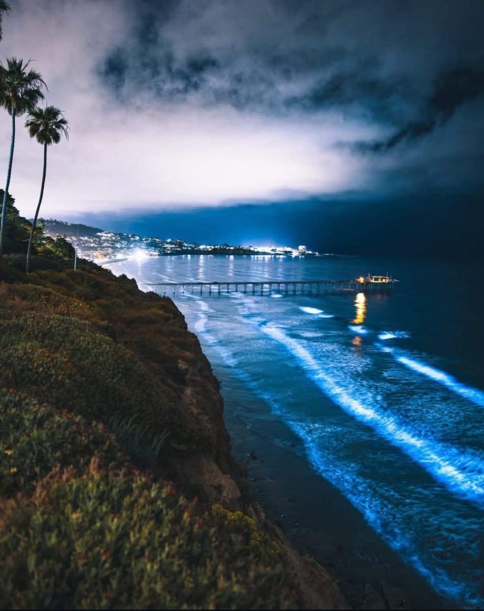 When the ocean glows and the sky watches in silence 🌌🌊
Bioluminescent waves lighting up the California coast like nature’s own midnight fireworks ✨

📍 Location: La Jolla, California, USA
📸 Credit: <a href="/alex_stead/">Alex Stead</a>

#LaJolla #CaliforniaNights #Bioluminescence #OceanGlow