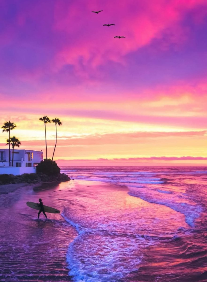 Chasing waves under cotton candy skies 🌅
San Diego sunsets really know how to put on a show — fire in the sky and peace in the soul 🏄‍♂️✨

📍 Location: San Diego, California, USA
📸 Credit: <a href="/ericrubens/">Eric Siva</a>

#SanDiegoSunset #CaliforniaVibes #OceanMagic #SurferLife #SunsetDreams