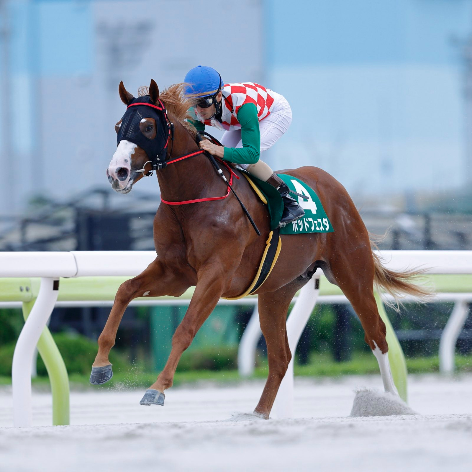 楽天競馬🐎｜楽天ポイント貯まる・使える！ on X: 