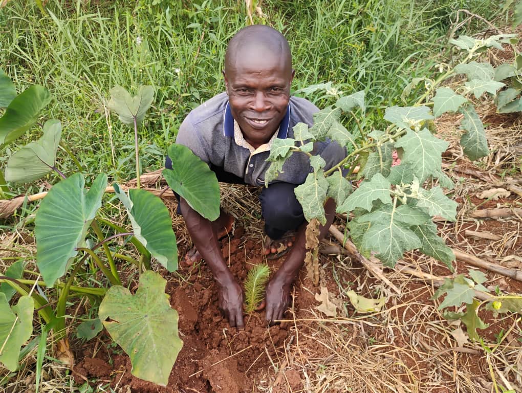 coopafrica's tweet photo. #OneBikeTenTrees! This week we delivered, & planted trees with students & community members. A tree absorbs ~21kg of CO₂/yr. Cycling cuts personal CO₂ emissions by up to 67%!
Bikes + trees = a greener future!
#Bike4School #Bike4Care #Bike4work #CooPAfrica,#CooPuganda https://t.co/klKN6DZlCy