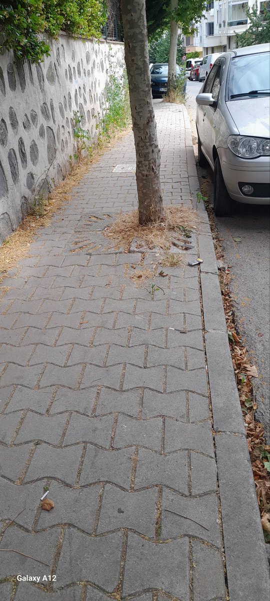 SevdaZrnÖzgdr🌟 tweet media