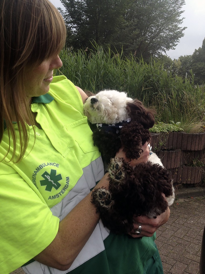 Help dieren in nood en word vrijwilliger bij een dierenorganisatie! Kijk op onze vacaturebank voor vrijwilligerswerk bij jou in de buurt: dier.nu/vacatures