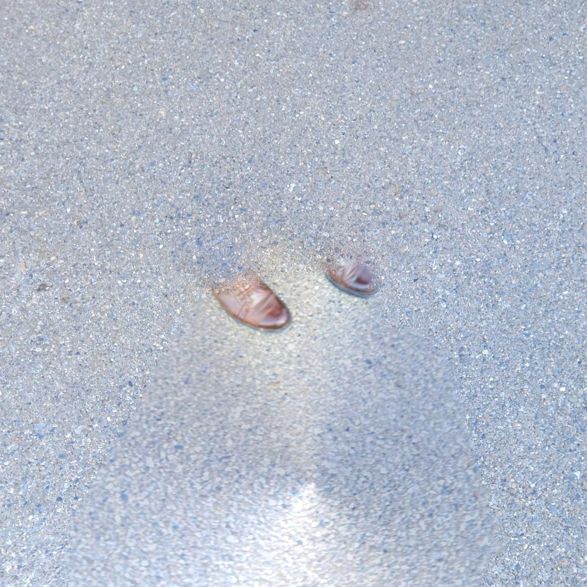 GM🥾 Happy #TezosTuesday
Wishing you a great day filled with inspiration! 🌿