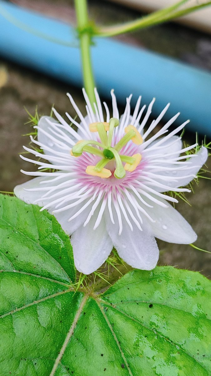 เย็นๆว่างงับ