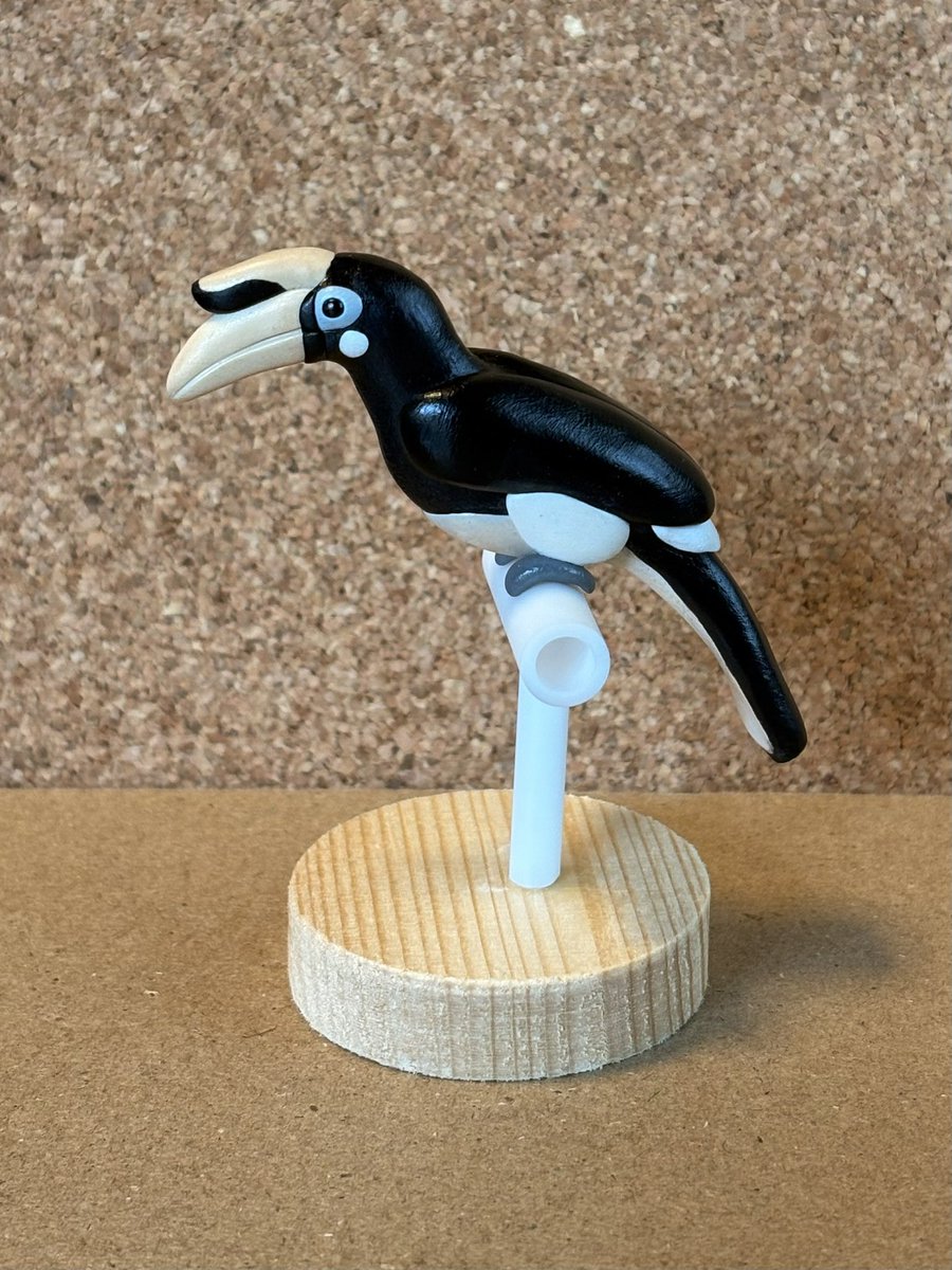 rurinori_sky's tweet image. カササギサイチョウの立体を作りました。
カスクがもっと立派な子もいるようですが、よく見に行く福岡の「ユニバ」が控えめなので今回はそれを意識しました。
#オーブン樹脂粘土 #ポリマークレイ