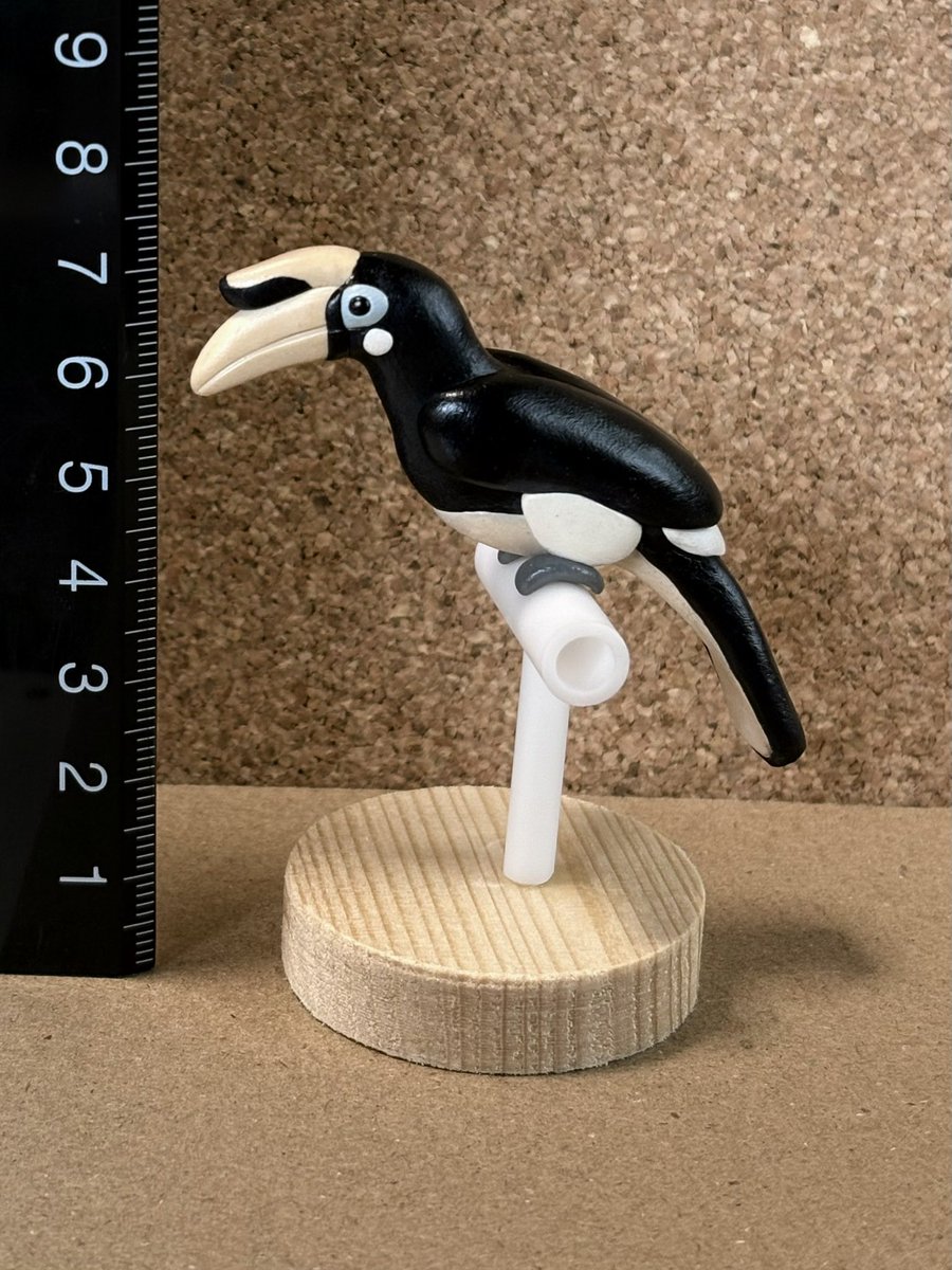 rurinori_sky's tweet image. カササギサイチョウの立体を作りました。
カスクがもっと立派な子もいるようですが、よく見に行く福岡の「ユニバ」が控えめなので今回はそれを意識しました。
#オーブン樹脂粘土 #ポリマークレイ