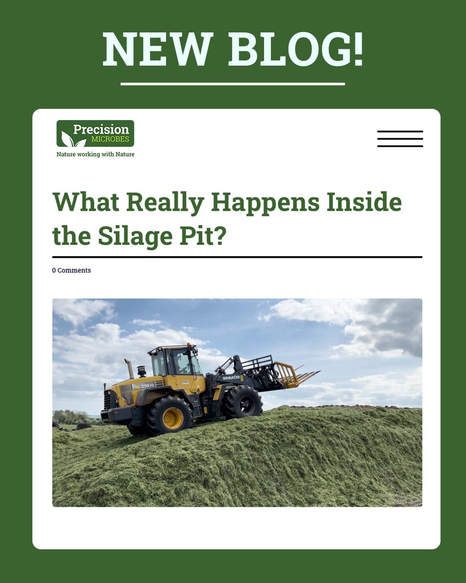 Ever wonder what’s really going on inside your silage pit or bale? 

In our latest blog, Ryan Duffy dives into the science of fermentation and how to get the most from your silage.

👉 Check it out now: precisionmicrobes.com/what-really-ha…

#SilageSessions #PrecisionMicrobes #SilageSeason