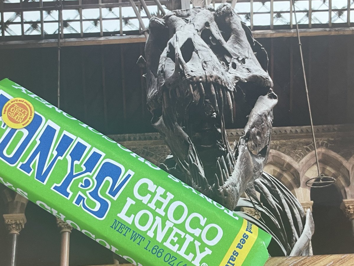 So, my day got off to an unexpectedly good start with a T-Rex and a bar of chocolate. Thank you ⁦<a href="/GlamVols/">GLAM Vols</a>⁩ ! 🍫 🦖 🙏