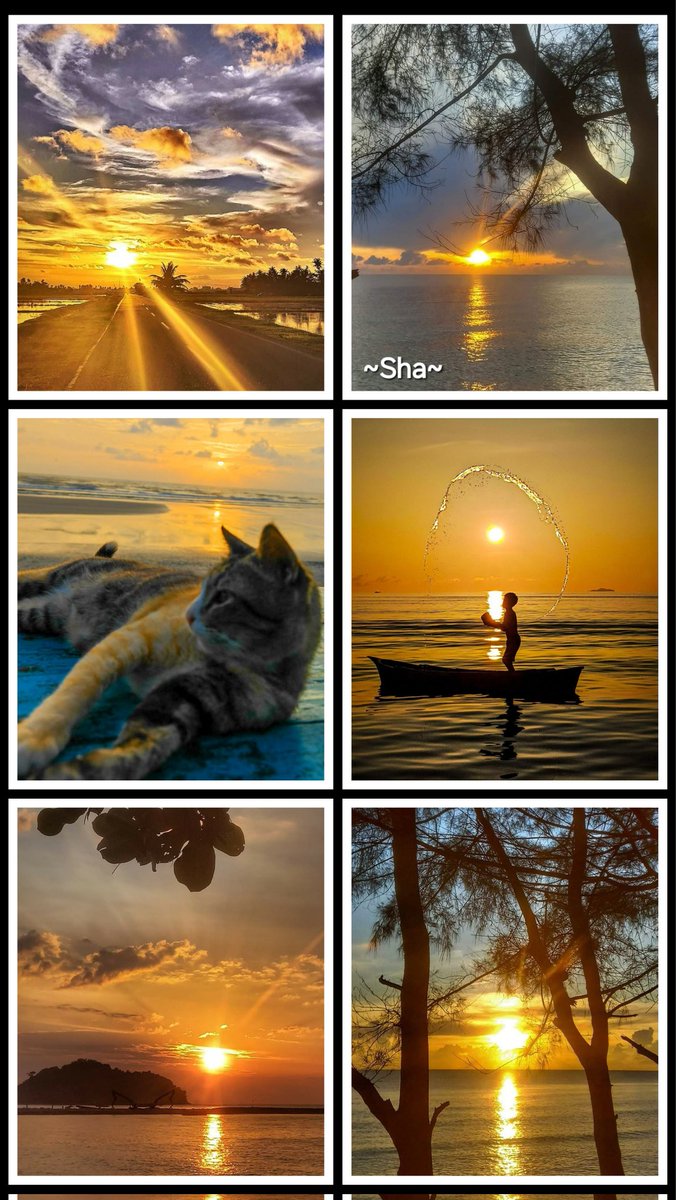 ❤️SUNRISE❤️
Poets are the interpreters of our common feelings
I am not a poet but YOU are my poetry
Your love has made all difference💕

🇲🇾❤~Nature is one of the best therapy for a peaceful mind~go there😘