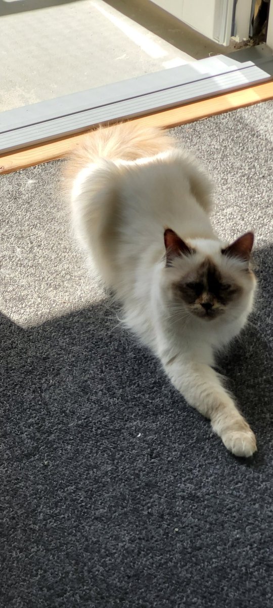 Why r u sitting like this
