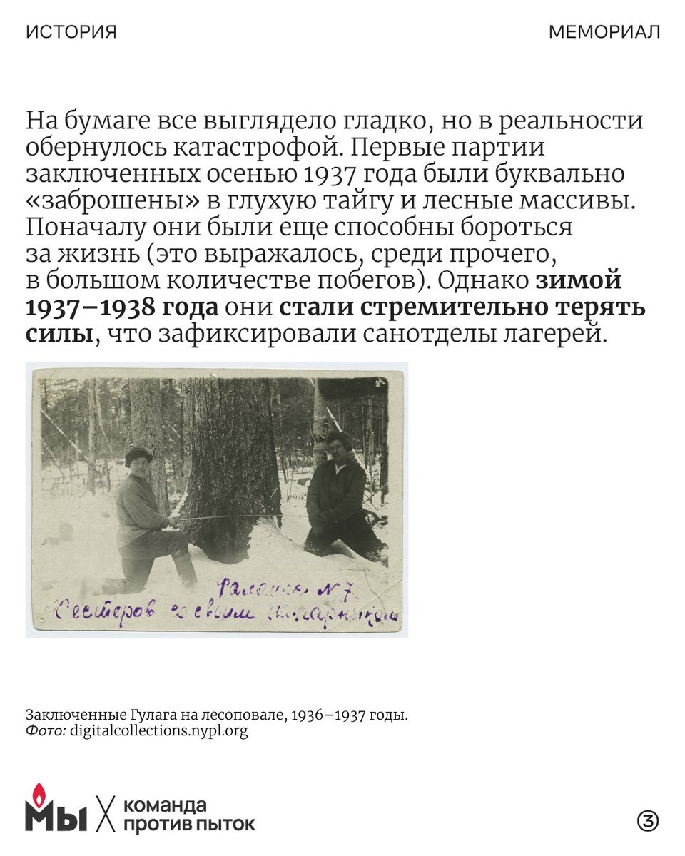В 1937–1938 годах, на пике Большого террора, в системе Гулага произошла одна из самых страшных, но малоизвестных гуманитарных катастроф. Пока по всей стране шли массовые аресты и расстрелы, сотрудники НКВД в спешном порядке создавали сеть новых «лесных лагерей» на Севере, Урале и