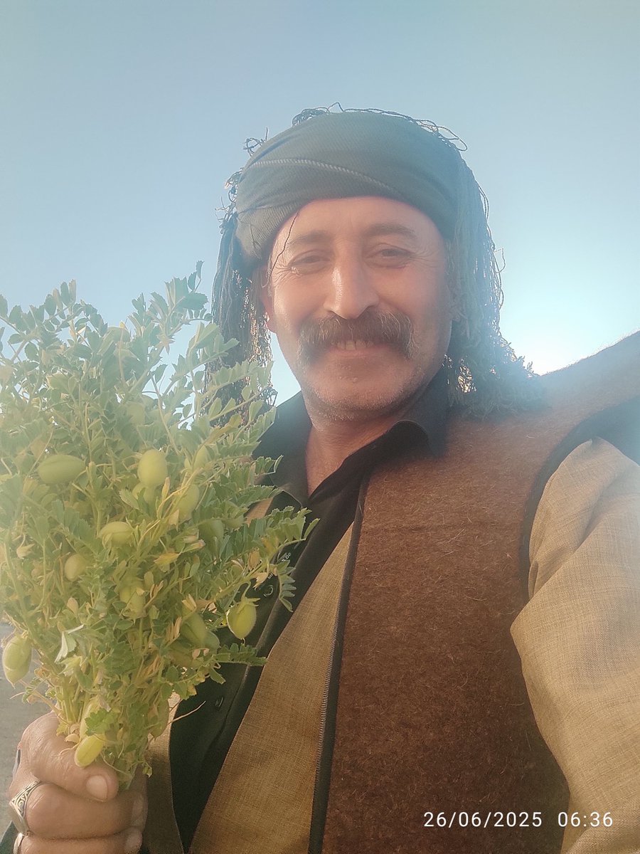 Şevger Çolo tweet media