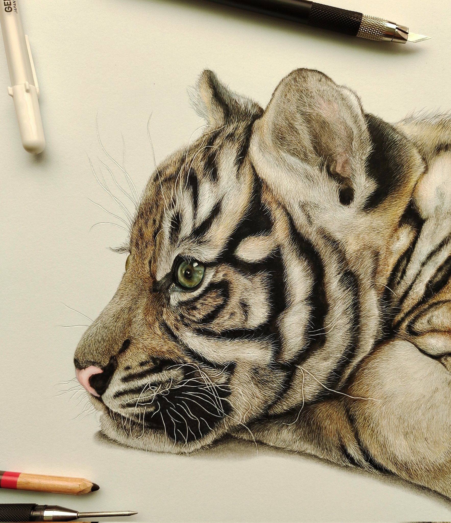 【色鉛筆画】 むぎむぎずページ  原画 絵画 アート 色鉛筆画】 むぎむぎず様専用ページ 原画 絵画 アート 絵画