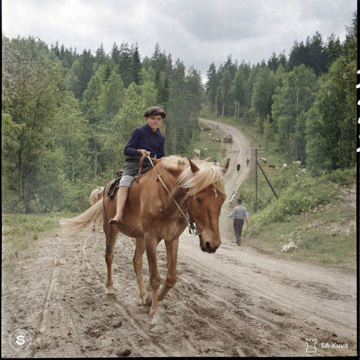 KKLKND's tweet image. Nuori karjalainen lähtee kotikylästään Simpeleeltä – hevosen selässä hän suuntaa syvemmälle maahan, kauas sodan pauhusta.
30.06.1944