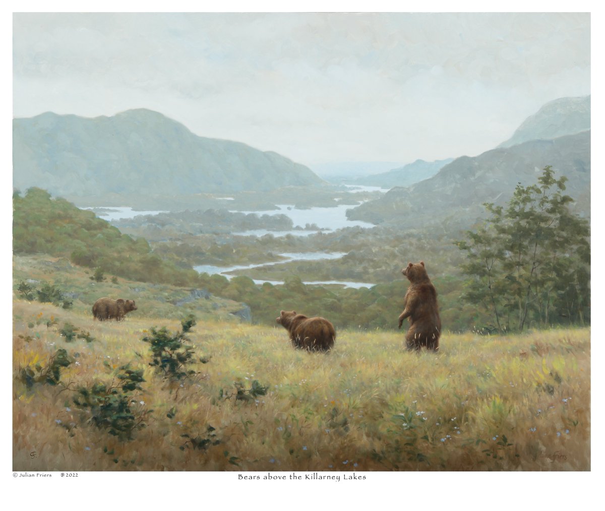 Julian Friers tweet media