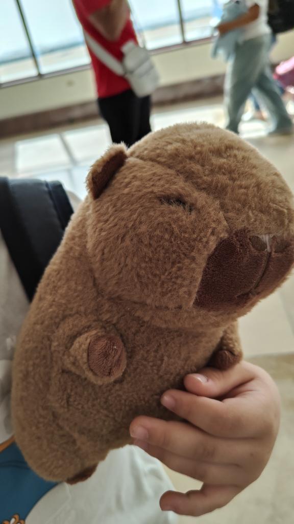 Cristina P. tweet media