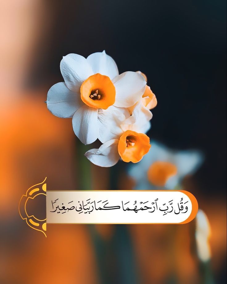 𝐒ҽԋαʀ 👑 (@sehar___) on Twitter photo #ملک_پرموشن
Followers⏬
<a href="/01Mllik/">𝙈𝘼𝙇𝙄𝙆 𝙅𝙄💫💙</a> <a href="/1arshd/">𝗔𝗿𝘀𝗵𝗱 𝗠𝗹𝗶𝗸💫👑</a>
<a href="/1Arshii/">𝓐𝓻𝓼𝓱𝓲 𝓜𝓵𝓲𝓴 ☪ツ</a> <a href="/01rshd/">ارشد ملک💫👑</a>
<a href="/sehr_ik/">سحر ملک 🦋🦋</a> <a href="/111mn1/">🐬آمنہ ملک🦋</a>
<a href="/0Sehrr/">سحر ملک 🕊️🦋</a> <a href="/11iasd/">Ali Asad</a>
<a href="/0Mahiii/">khan Ki Khilariii 🏏</a>
<a href="/1Mahii_/">🦋ماہی ملک 🦋</a>
<a href="/1Sehar_/">𝐒ҽԋαʀ 👑</a>
<a href="/Snam5_/">🍁Sanam🍁</a>
<a href="/shz787/">🌟⭐️🌟🌟sʜᴀʜᴢᴀᴅ ᴍᴜɴɪʀ🌟⭐️🌟⭐️</a>
<a href="/glmsjd/">𝑺𝒂𝒋𝒋𝒂𝒅 ✨</a>
<a href="/1shobii/">Shoaib_Official</a>
<a href="/10bshr/">Bashir Ahmed</a>
<a href="/11ain_a/">AnuM🪡</a>
<a href="/shZ447/">𝕊𝕙𝕒𝕙𝕫𝕒𝕕 𝕄𝕦𝕟𝕚𝕣</a>
<a href="/bndy66/">Asil khawaja 55</a>
<a href="/Hurain_5/">Hurain 💞حورین</a>
<a href="/Haris_943/">Haris PTI ᵀᶠᴸᵂ</a>
<a href="/1fazl2/">Imran khan</a> <a href="/_1rhe/">شازیہ</a>
<a href="/Fat9T/">Arshia🥀🍂</a> <a href="/Znt33/">🦋ZêēñäT</a>
<a href="/guljnt/">گُل جنت🌷</a> <a href="/Pir_80/">Peer Shb</a>
<a href="/Ghz35/">🇬 🇭 🇦 🇿 🇦 🇱 🇦 🇭</a> <a href="/1fzalI/">💓PTI ACCOUNTS PROMORTER💓</a>
<a href="/NM1k_/">༺ 💎𒆜𝑵𝑬𝑬𝑵𝑨𝑯𒆜💎 ༻</a> <a href="/NK_pti/">𝒜𝓏𝒶𝒹 🇵🇰</a> #ملک_پرموشن
Followers⏬
<a href="/01Mllik/">𝙈𝘼𝙇𝙄𝙆 𝙅𝙄💫💙</a> <a href="/1arshd/">𝗔𝗿𝘀𝗵𝗱 𝗠𝗹𝗶𝗸💫👑</a>
<a href="/1Arshii/">𝓐𝓻𝓼𝓱𝓲 𝓜𝓵𝓲𝓴 ☪ツ</a> <a href="/01rshd/">ارشد ملک💫👑</a>
<a href="/sehr_ik/">سحر ملک 🦋🦋</a> <a href="/111mn1/">🐬آمنہ ملک🦋</a>
<a href="/0Sehrr/">سحر ملک 🕊️🦋</a> <a href="/11iasd/">Ali Asad</a>
<a href="/0Mahiii/">khan Ki Khilariii 🏏</a>
<a href="/1Mahii_/">🦋ماہی ملک 🦋</a>
<a href="/1Sehar_/">𝐒ҽԋαʀ 👑</a>
<a href="/Snam5_/">🍁Sanam🍁</a>
<a href="/shz787/">🌟⭐️🌟🌟sʜᴀʜᴢᴀᴅ ᴍᴜɴɪʀ🌟⭐️🌟⭐️</a>
<a href="/glmsjd/">𝑺𝒂𝒋𝒋𝒂𝒅 ✨</a>
<a href="/1shobii/">Shoaib_Official</a>
<a href="/10bshr/">Bashir Ahmed</a>
<a href="/11ain_a/">AnuM🪡</a>
<a href="/shZ447/">𝕊𝕙𝕒𝕙𝕫𝕒𝕕 𝕄𝕦𝕟𝕚𝕣</a>
<a href="/bndy66/">Asil khawaja 55</a>
<a href="/Hurain_5/">Hurain 💞حورین</a>
<a href="/Haris_943/">Haris PTI ᵀᶠᴸᵂ</a>
<a href="/1fazl2/">Imran khan</a> <a href="/_1rhe/">شازیہ</a>
<a href="/Fat9T/">Arshia🥀🍂</a> <a href="/Znt33/">🦋ZêēñäT</a>
<a href="/guljnt/">گُل جنت🌷</a> <a href="/Pir_80/">Peer Shb</a>
<a href="/Ghz35/">🇬 🇭 🇦 🇿 🇦 🇱 🇦 🇭</a> <a href="/1fzalI/">💓PTI ACCOUNTS PROMORTER💓</a>
<a href="/NM1k_/">༺ 💎𒆜𝑵𝑬𝑬𝑵𝑨𝑯𒆜💎 ༻</a> <a href="/NK_pti/">𝒜𝓏𝒶𝒹 🇵🇰</a>