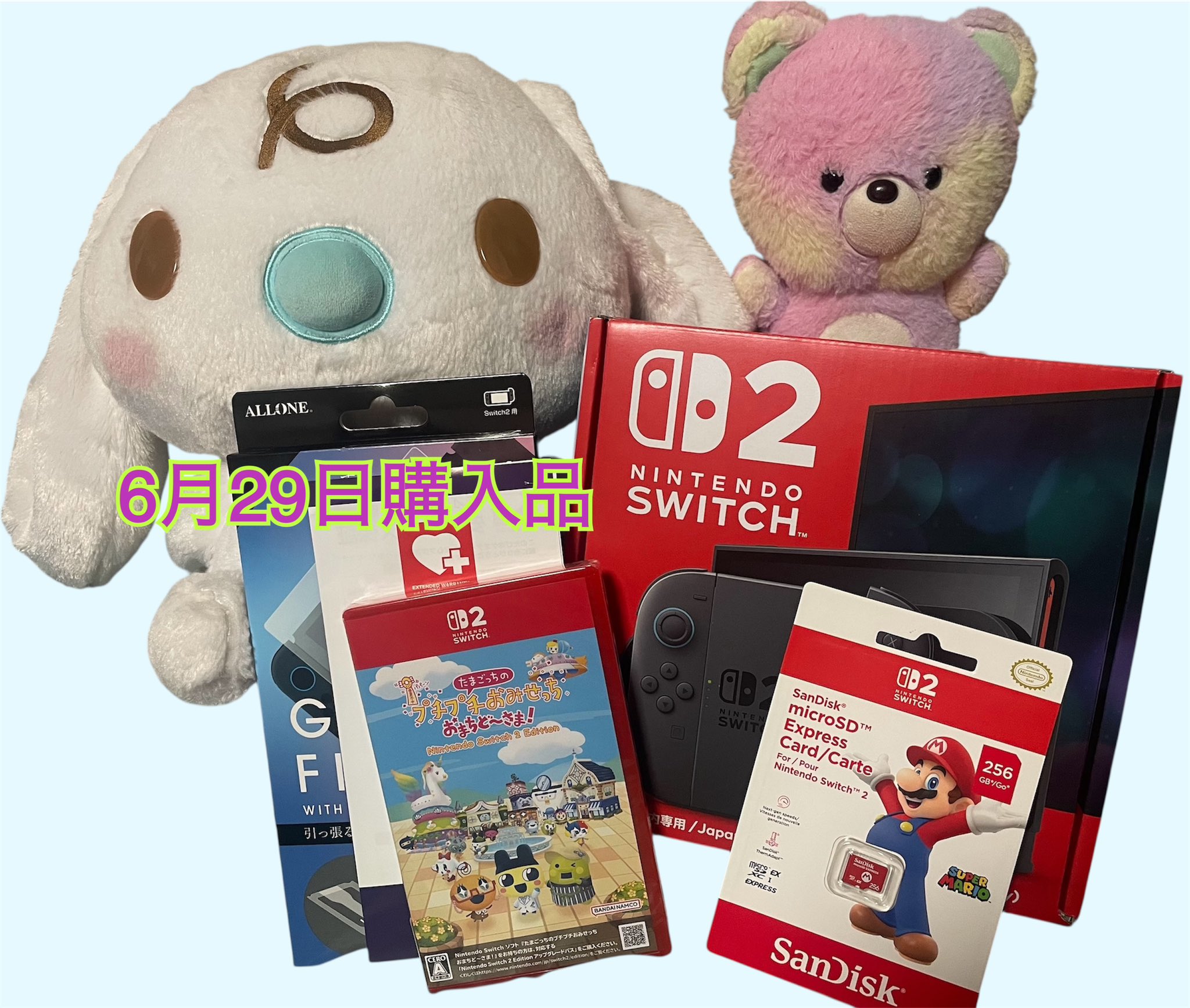 Nintendo Switch - まーちゃん⭐︎ 4595641246017.jpg