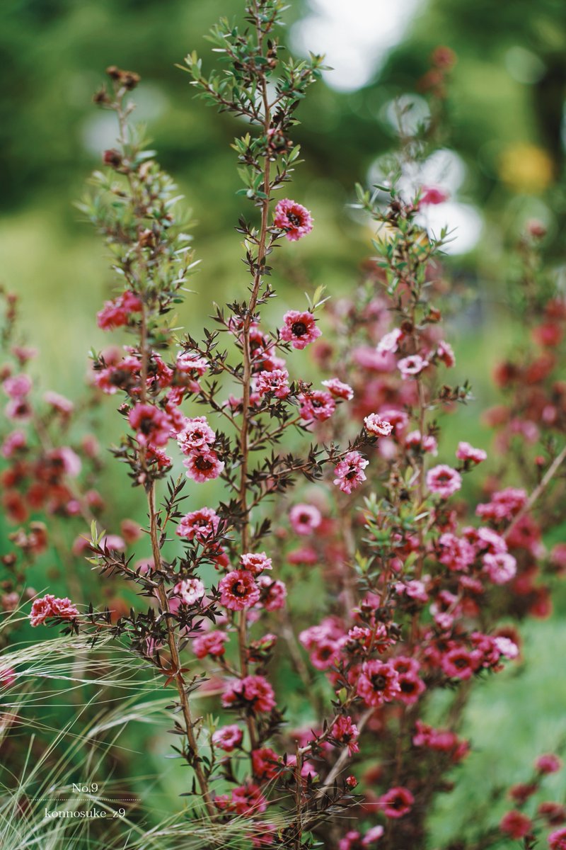 ▷ I wish you a good day.  …