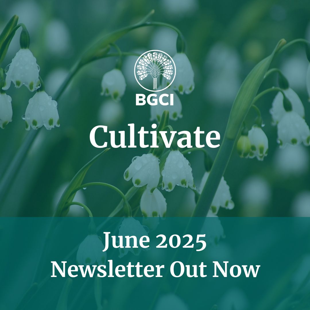 bgci's tweet image. The new Cultivate is out! Read more about the 11th ICEBG congress, the GSPC summary, leaf through the latest version of our educational magazine Roots, look for opportunities for a scholarship for the Botanical Bridges conference, and much more. 
buff.ly/1W4PsO4