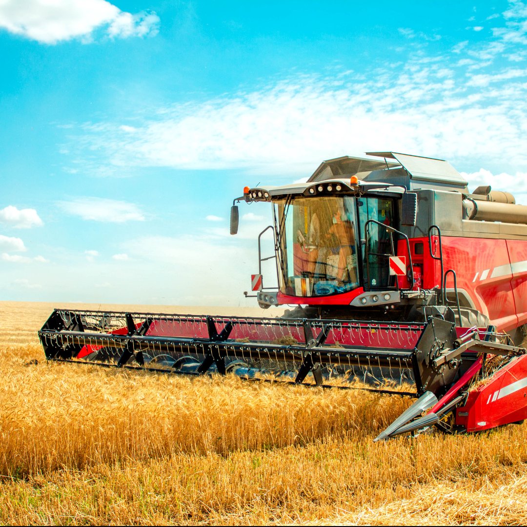 Agro Paris Bourse (@agroparisbourse) on Twitter photo 📊 D’après un sondage réalisé par <a href="/TerrenetFR/">Terre-net.fr</a> auprès de 1 771 agriculteurs, 66 % déclarent avoir déjà commencé la #moisson2025 ou comptent l’entamer en avance cette année
Une dynamique accélérée par les conditions météo chaudes et sèches de juin
#chaleur
urls.fr/5_USpp 📊 D’après un sondage réalisé par <a href="/TerrenetFR/">Terre-net.fr</a> auprès de 1 771 agriculteurs, 66 % déclarent avoir déjà commencé la #moisson2025 ou comptent l’entamer en avance cette année
Une dynamique accélérée par les conditions météo chaudes et sèches de juin
#chaleur
urls.fr/5_USpp