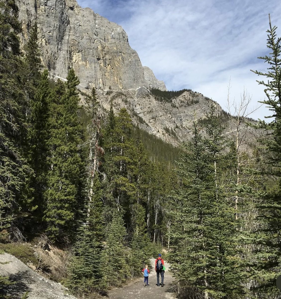 Happy #CanadaDay 🍁 We are the true north, strong and free!  I am so proud to call Canada home and to celebrate our dedication to democracy and harmony.  We also celebrate our strong global alliances, including with all 27 member states of the European Union 🇨🇦🇪🇺   Thank you for
