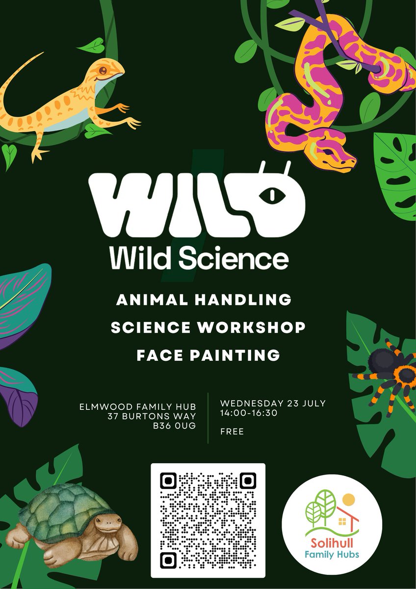 Fantastic opportunities for families happening over the summer for families at Elmwood Hub- Families need to register for a ticket due to capacity.