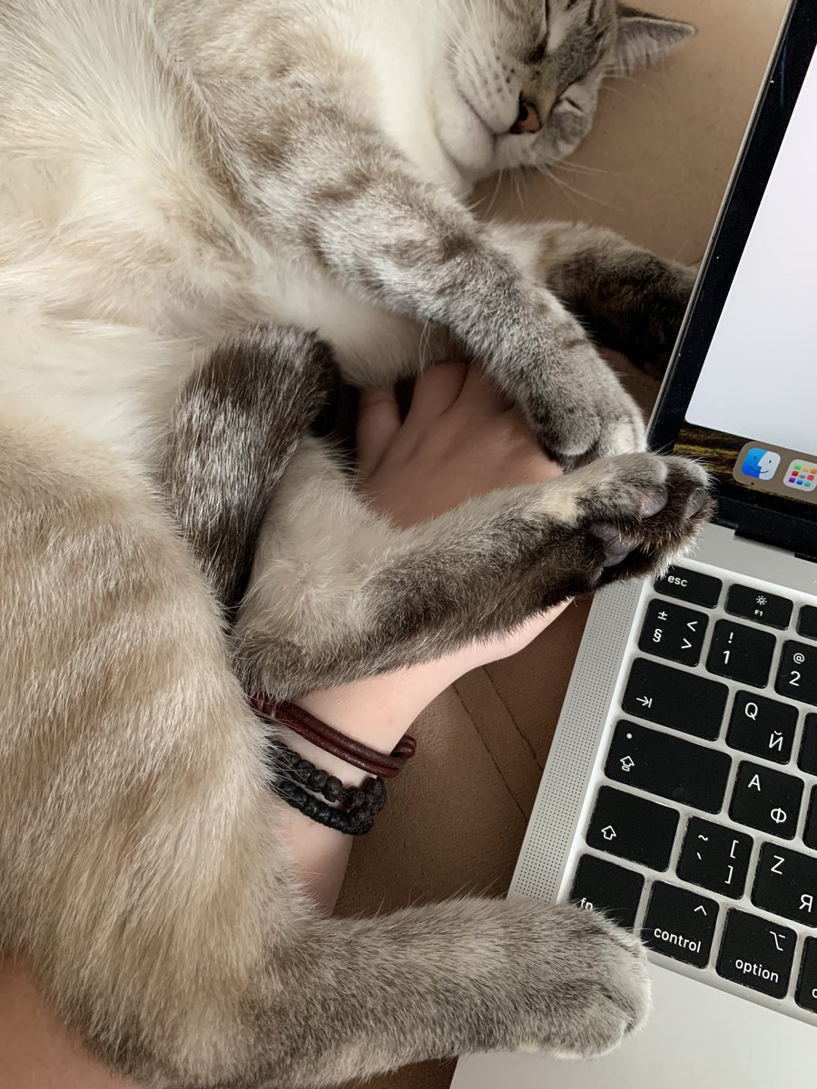 murrmason's tweet image. причина, по которой я никогда в жизни больше не пойду на пятидневку в офис — послеобеденный мурмур (второй рукой тыкаю рабочие кнопочки)