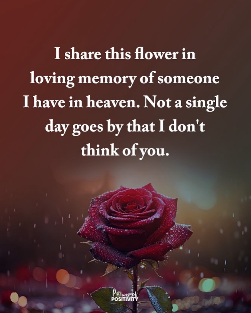 LIVEpositivity's tweet photo. I share this flower in loving memory of someone in heaven... 💐💔 https://t.co/RAfazeJabv