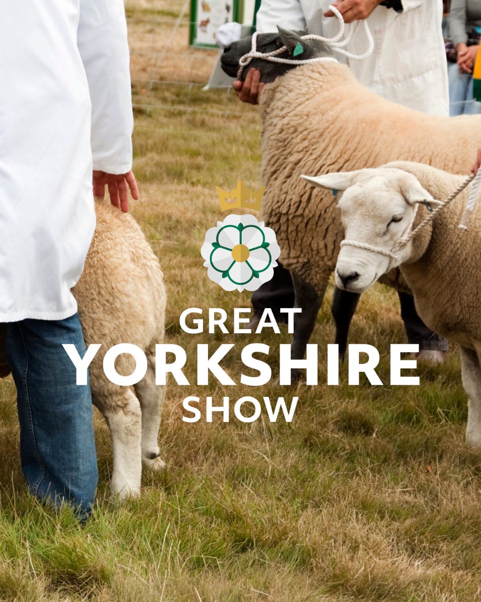 Visit Hull & East Yorkshire tweet media