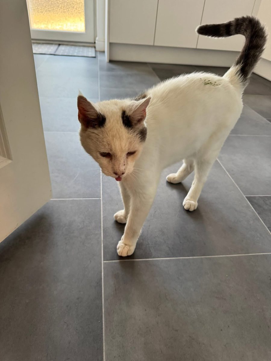 We think of dear Heath today and send love to his family. ❤️❤️❤️ #HedgewatchforHeath